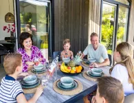 Tiny House in Brabant with Cozy Terrace - piscine