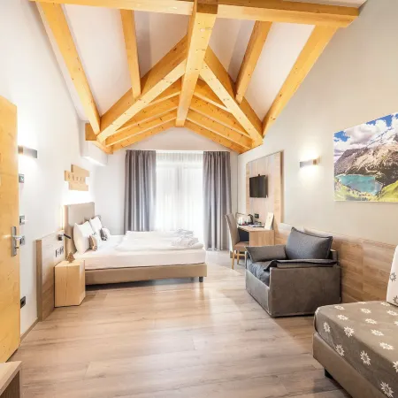 Chalet Aster Hotels in Moena