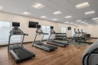 Holiday Inn Express & Suites WEST MELBOURNE by IHG - Gym
