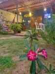 Estação Noronha Hostel Hotel di 