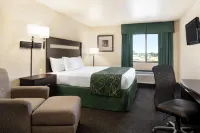 Baymont by Wyndham Glenwood - gimnasio