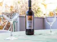 Albergo Residenziale Gli Ontani - bar