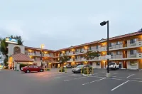 Pleasant Inn - Parkplatz