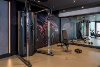 麗笙紅因斯布魯克酒店 - 健身室/gym room