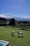 AO Buena Vista Private Mountain Retreat - Homestays