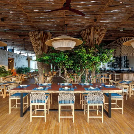 Hotel Shibari - Restaurant & Cenote Club