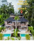 Moonlit Jungle - 2-Star