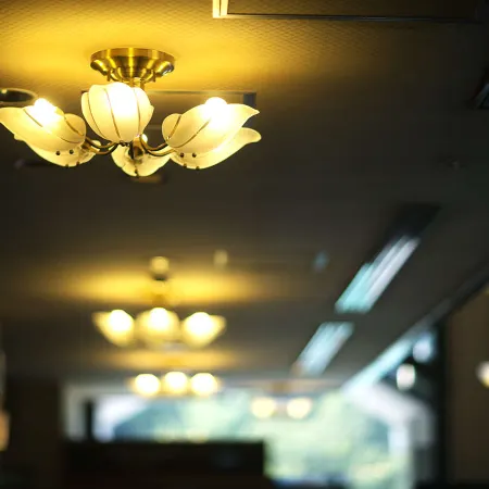 Hotel Hanajyukai