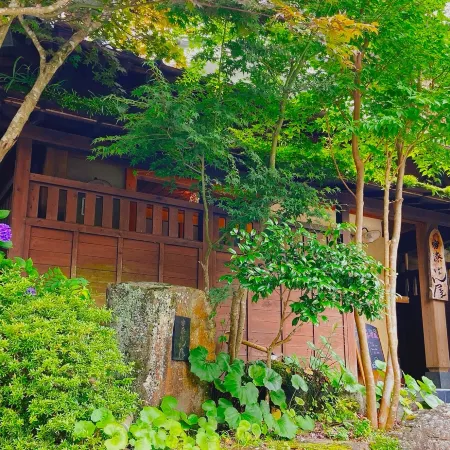 Hot Spring Inn Banya