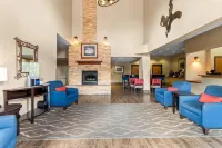 Comfort Inn & Suites Midtown - Wifi