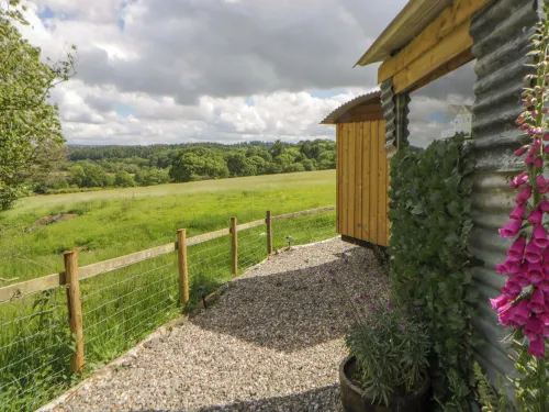 The Little Shepherds Hut With a View - 4-Star