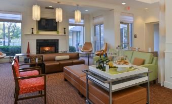 Hilton Garden Inn Dallas/Addison