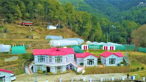 Village Live in Resort Hotels in Chail