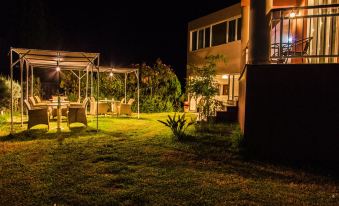 a well - lit backyard with an outdoor dining area , where people are gathered for a meal at Sofi
