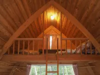 Bungalow Standing in the Forest Hotel a 