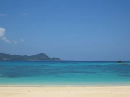 Amami Lucky House Отели в г. Амами