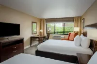 Hilton Garden Inn Seattle/Issaquah Hotels in Issaquah