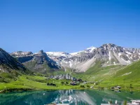 Le Shamrock (Le Lac)