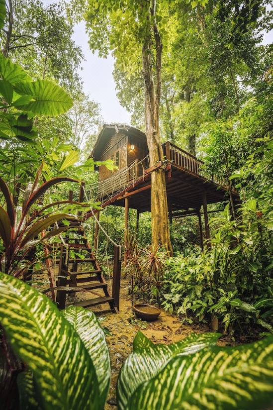 Our Jungle House-Khlong Sok Updated 2022 Room Price-Reviews & Deals |  Trip.com