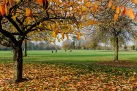 The Suite | Cardiff City Centre + Private Parking