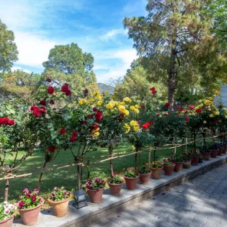 Moksha Himalaya Spa Resort