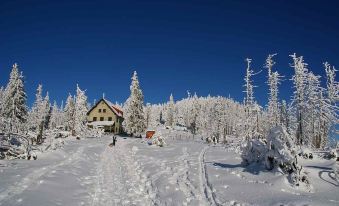 5 Star Studio Apartment Vogelsang at the Bavarian Forest National Park, 4 Guests