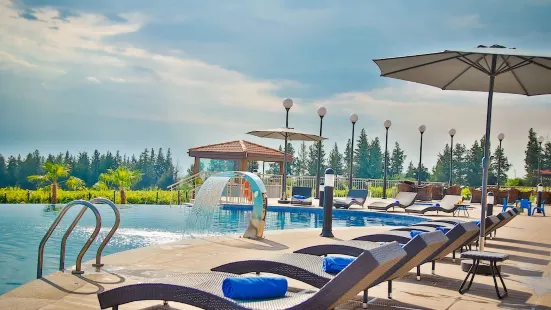 Panorama Kakheti Resort by Cosmos Hotels度假村