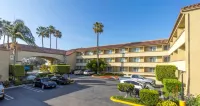 Best Western Plus Newport Mesa Inn Hotels in Costa Mesa