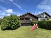 Löwenzahn
