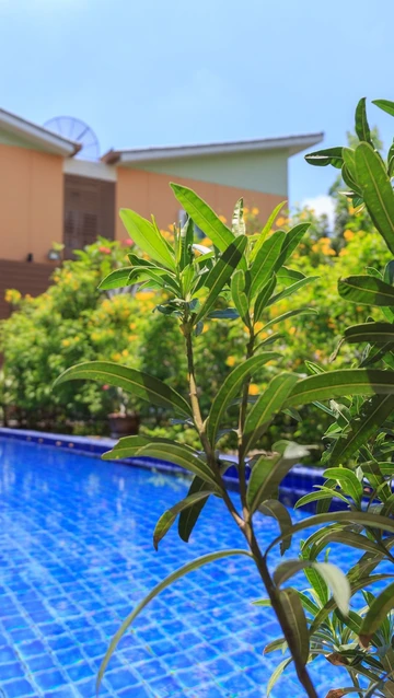 รูปภาพของโรงแรมอยู่ที่นี่บูติค U-Tiny Boutique Hotel-Pet Friendly Hotel