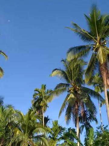 รูปภาพของโรงแรม โอเค OK Hotel.