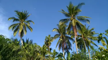รูปภาพของโรงแรม โอเค OK Hotel.