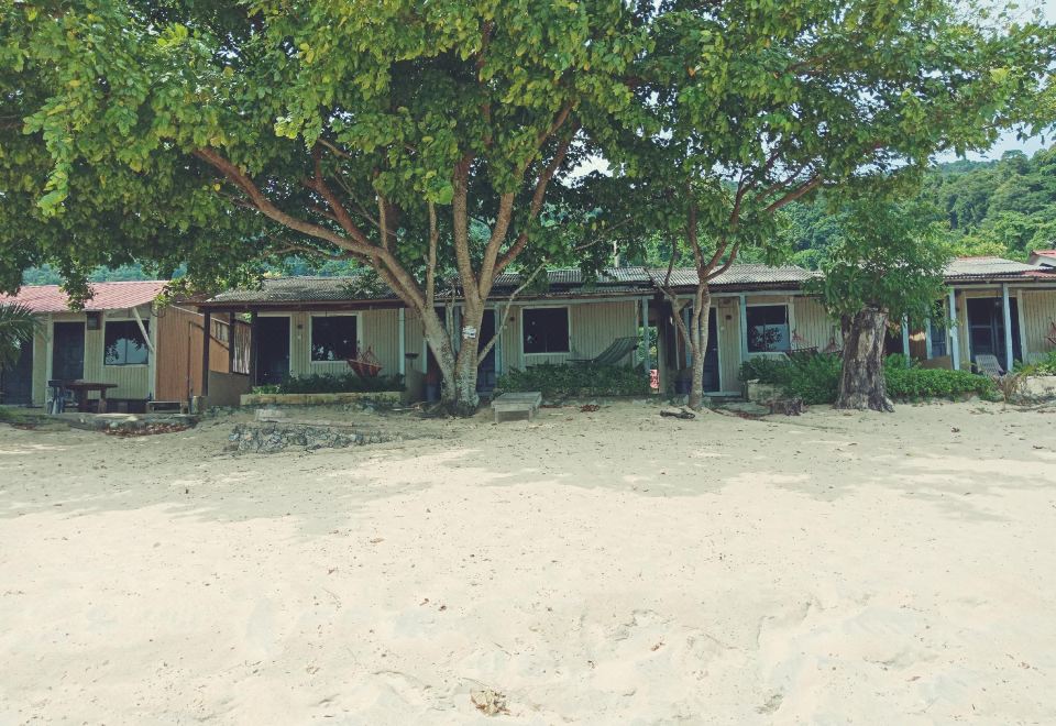 4. 코럴 리프 홀리..