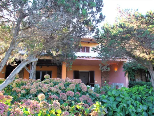 Ippocampo