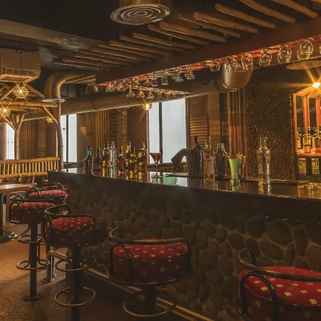 Hotel Annamalai International