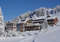 Ferien- Und Familienhotel Alpina Adelboden