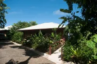 Drake Bay Greenleaf