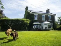 Dowfold House Bed and Breakfast Hotels in Crook