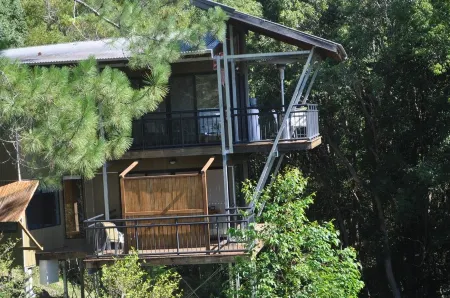 Ecoasis Mami Wata Rainforest Haven