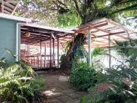 Casa Marbella Hotels in Tortuguero