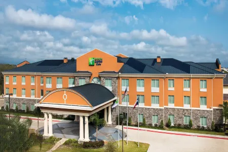 Holiday Inn Express & Suites Clute - Lake Jackson Отели рядом с достопримечательностью «БИС»