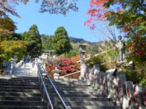 蓬生亭 逸見 伊勢原市酒店