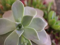 Mizusawa Grand Hotel Отели в г. Канегасаки