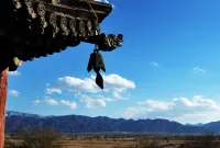 XINGHE HOTEL - Mountain view
