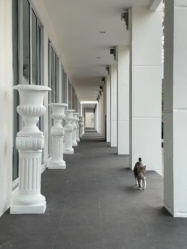 รูปภาพของไอวารี เฮาส์ ศรีราชา