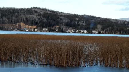 Luther King Grande Chambre Décor Moderne Et Relaxe Отели в г. Шарлевуа-Эст