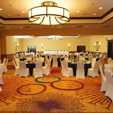 Holiday Inn & Suites CHICAGO-CAROL STREAM (WHEATON) by IHG