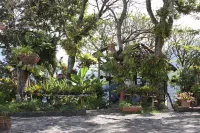 Alma Nativa Hotels in 