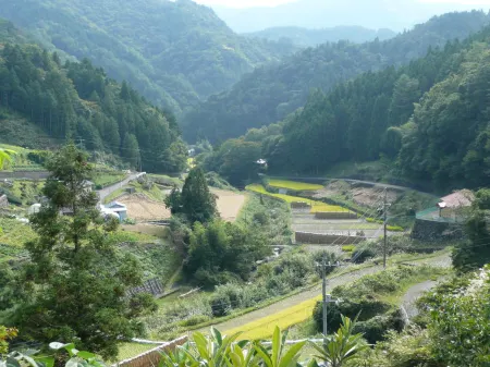 Washi Studio Kamikoya