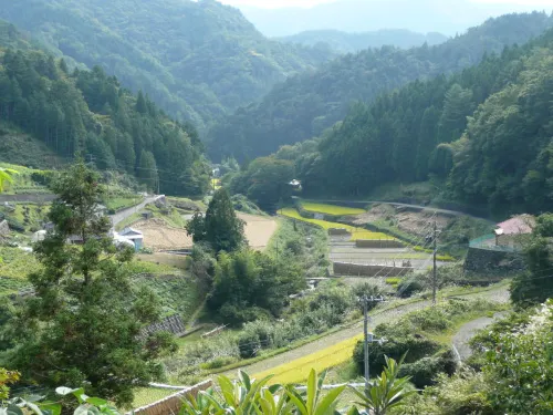 Washi Studio 紙小屋 檮原町住宿飯店
